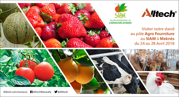 Alltech Au Salon International De L Agriculture Au Maroc Siam Events