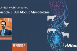 All about MYCOTOXINS - June 2018